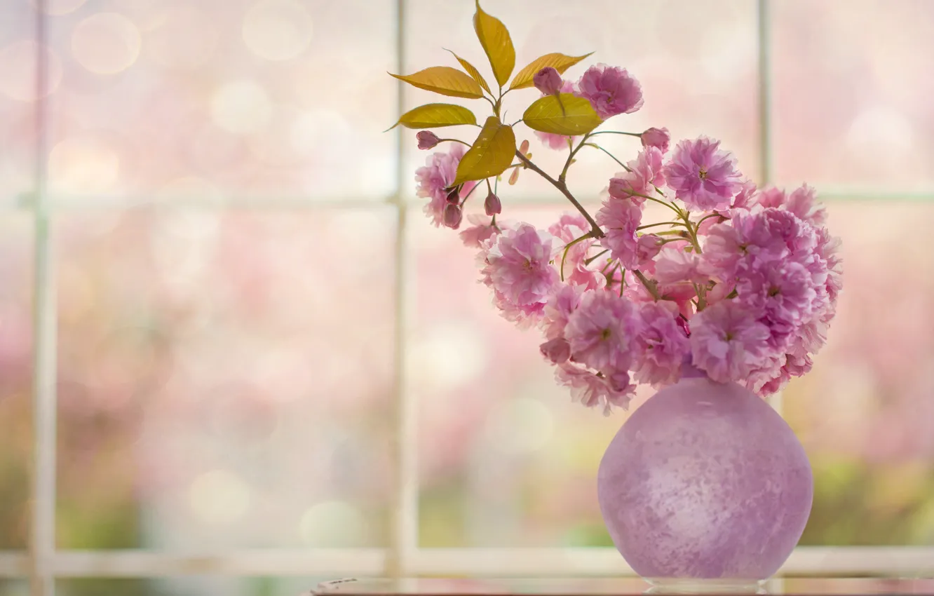 Photo wallpaper cherry, sprig, Sakura, vase, flowering, flowers