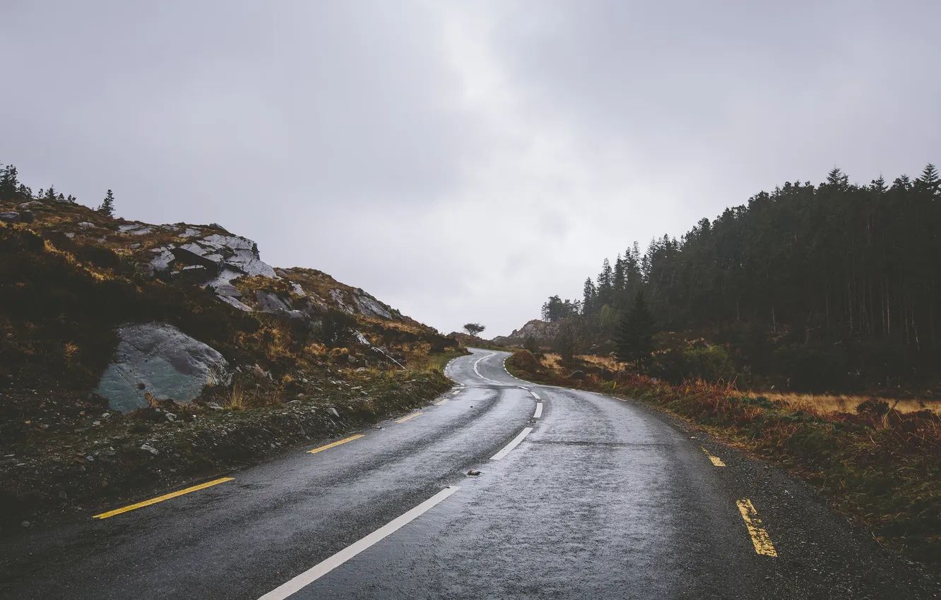 Photo wallpaper road, wave, clouds, trees