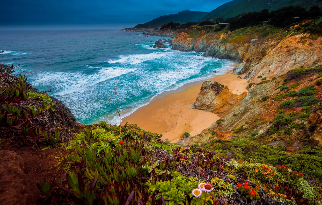 Photo wallpaper beach, flowers, the ocean, rocks, coast, Pacific Ocean, California, The Pacific ocean