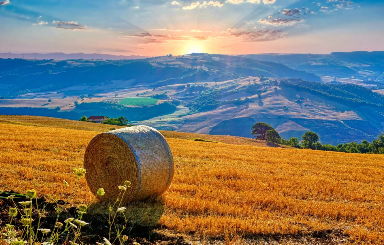 Photo wallpaper field, sunrise, dawn, hills, morning, hay, Italy, panorama
