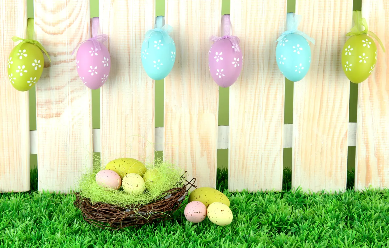 Photo wallpaper grass, Board, the fence, eggs, spring, Easter, socket, grass