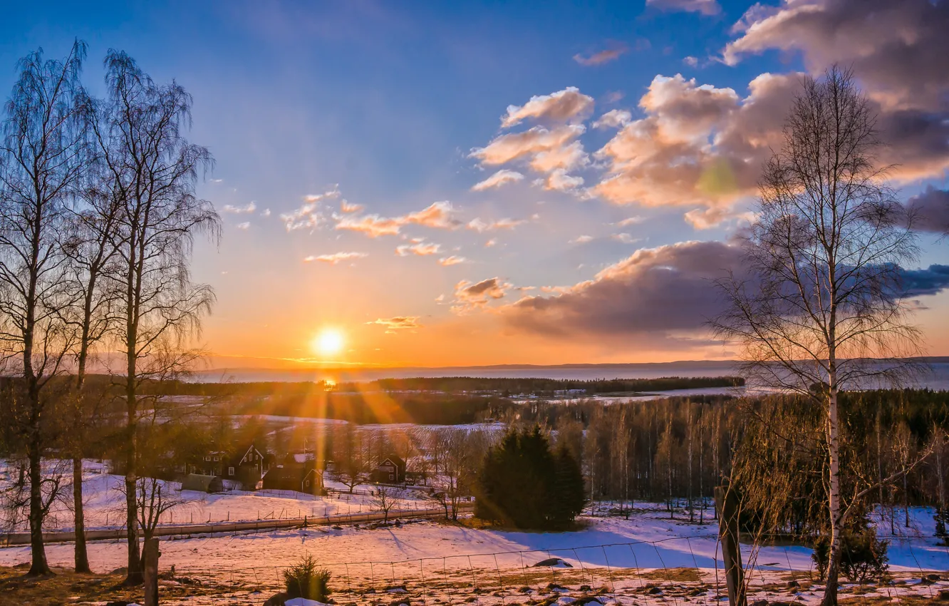 Photo wallpaper winter, road, forest, the sun, trees, sunset, the village