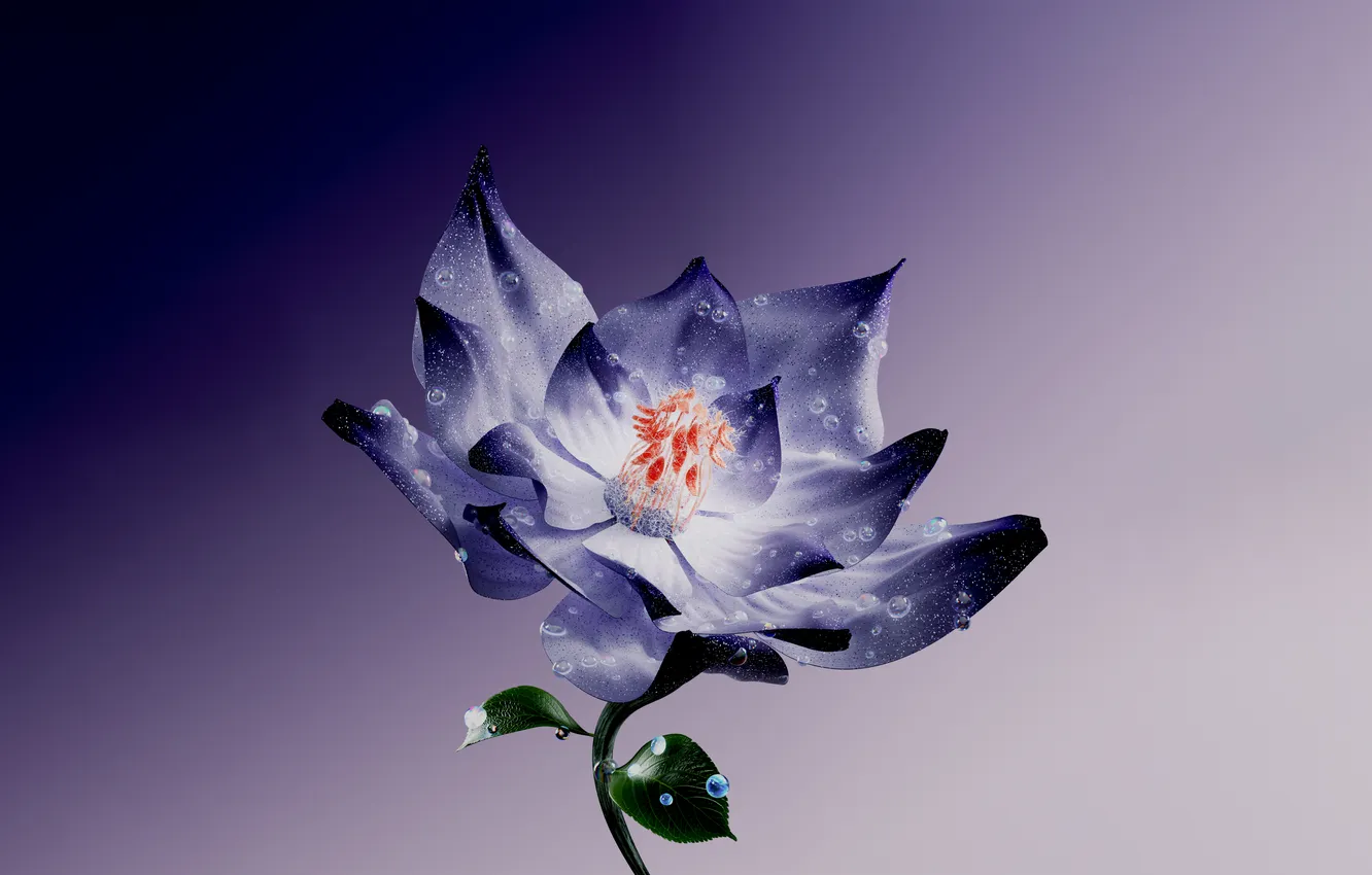 Photo wallpaper Flowers, Digital Art, Water Lily, Digital flower, Purple aesthetic, Lotus flower, Purple background, Purple Flower