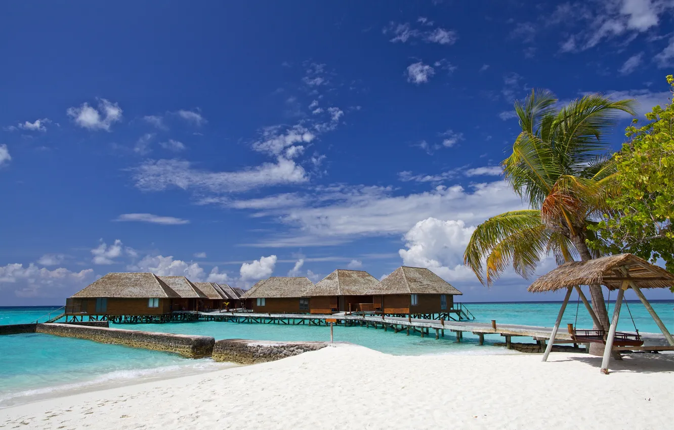 Photo wallpaper sea, palm trees, The Maldives, Bungalow