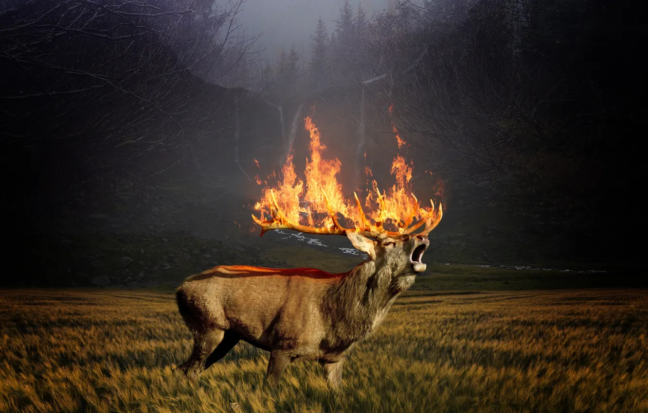 Photo wallpaper horns, animals, deer, flames