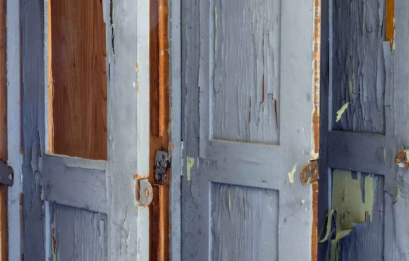 Photo wallpaper background, texture, the door