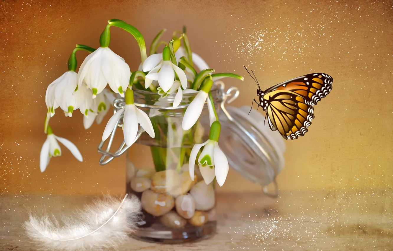 Photo wallpaper flowers, stones, pen, collage, butterfly, snowdrops, Bank