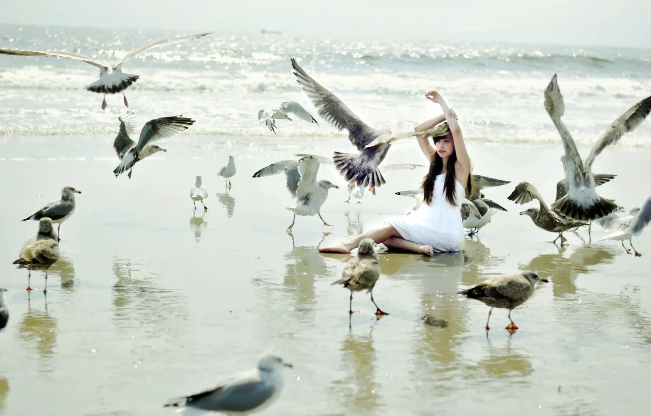 Photo wallpaper girl, birds, the situation