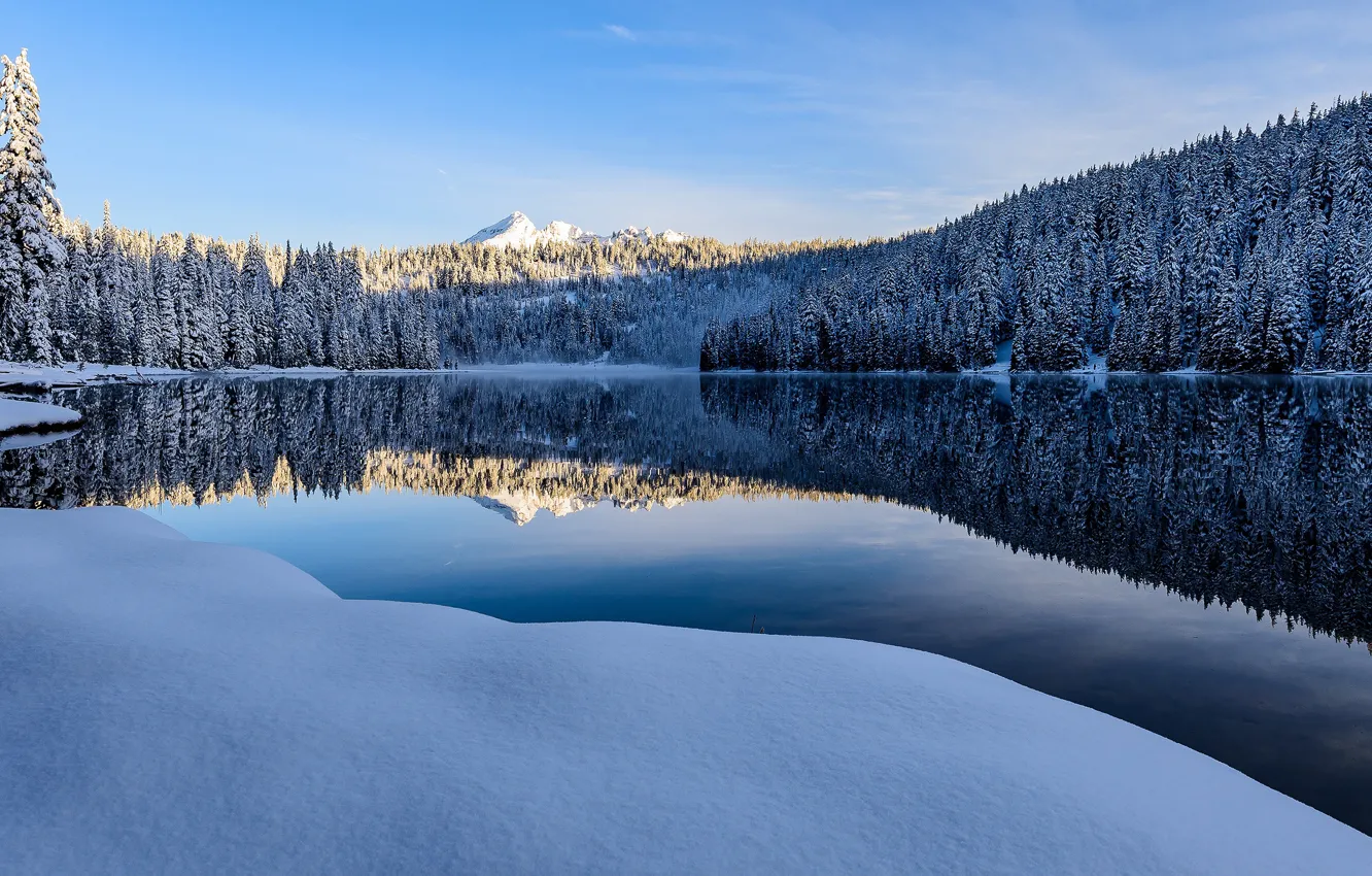Photo wallpaper winter, forest, snow, mountains, blue, shore, ate, Canada