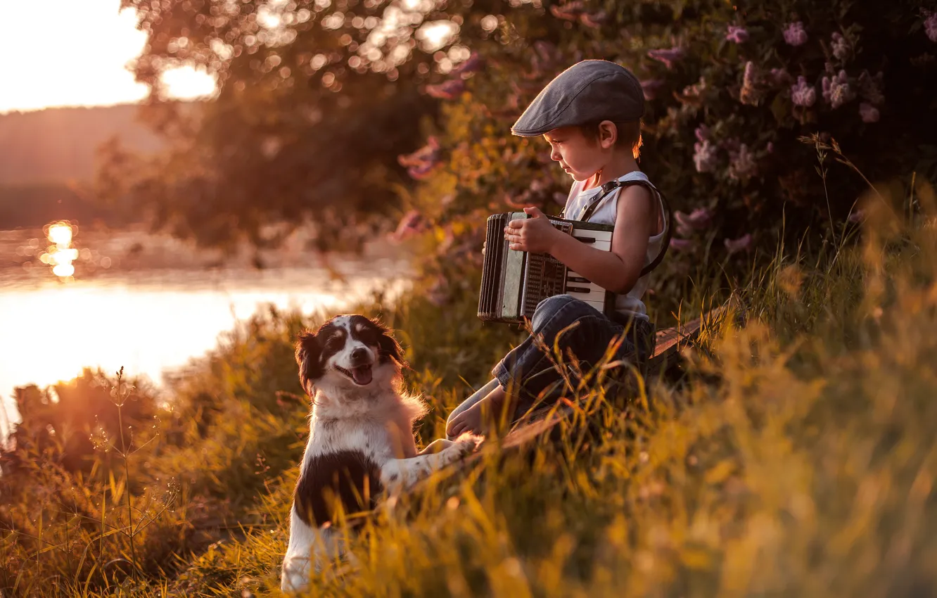 Photo wallpaper river, each, dog, boy, cap, accordion