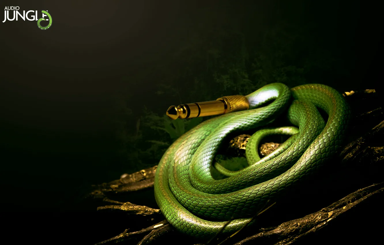 Photo wallpaper snake, Music, jungle
