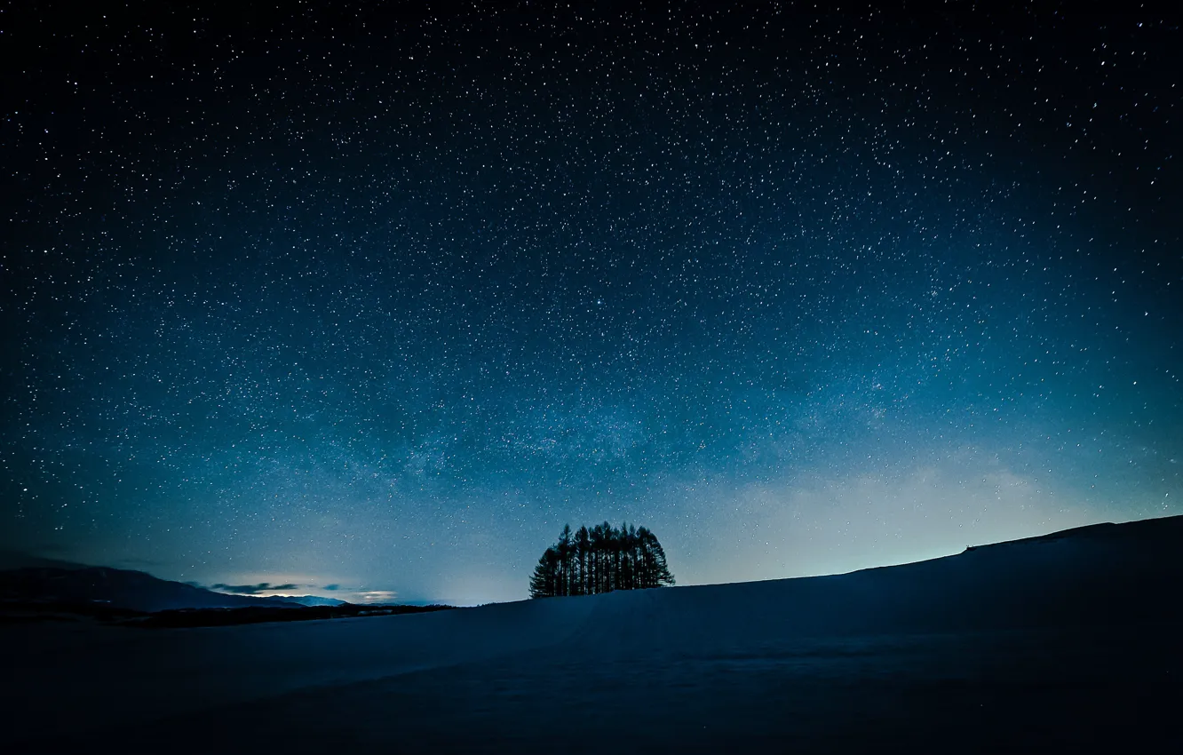 Photo wallpaper field, the sky, stars, trees, night