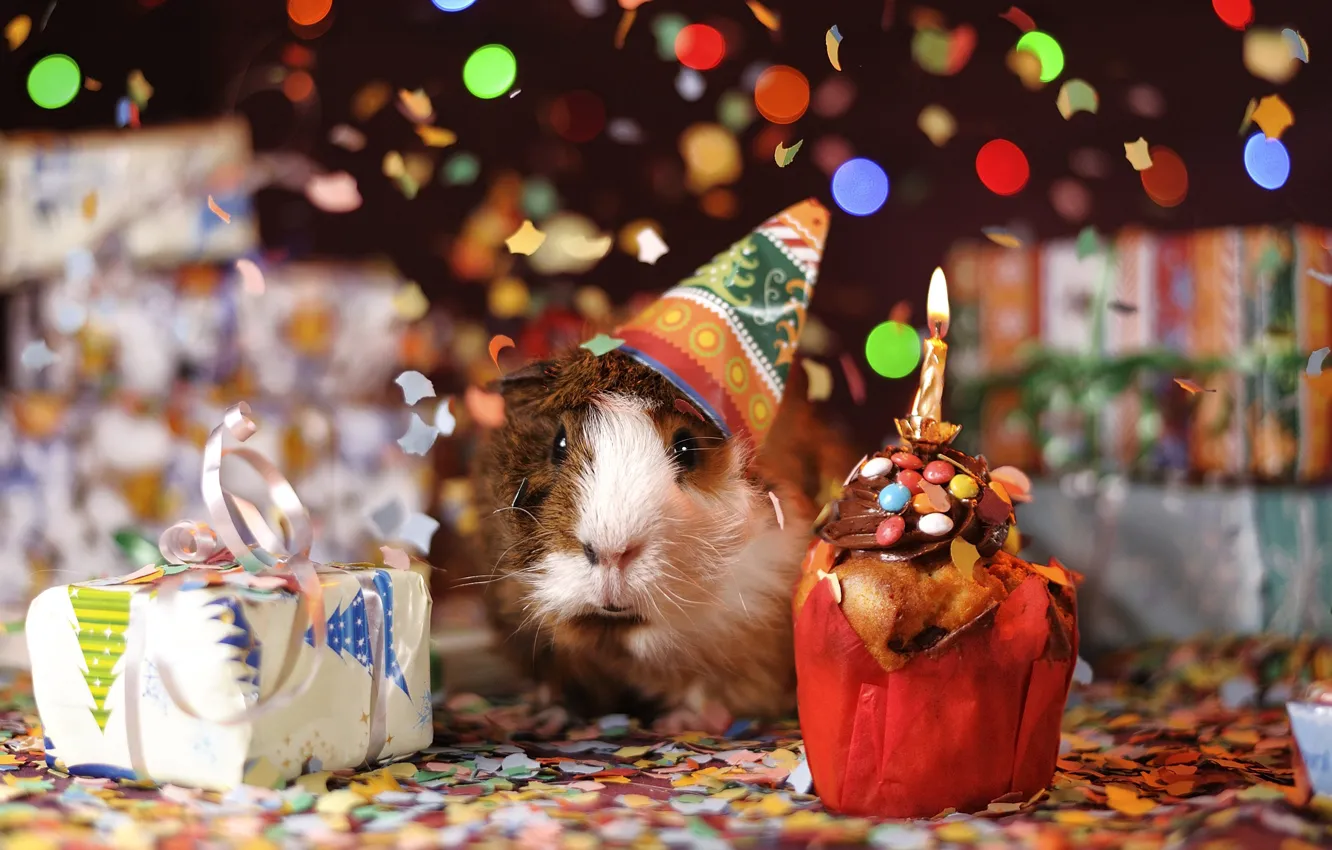 Photo wallpaper Christmas, gifts, New year, Guinea pig, cap, confetti, rodent, cupcake