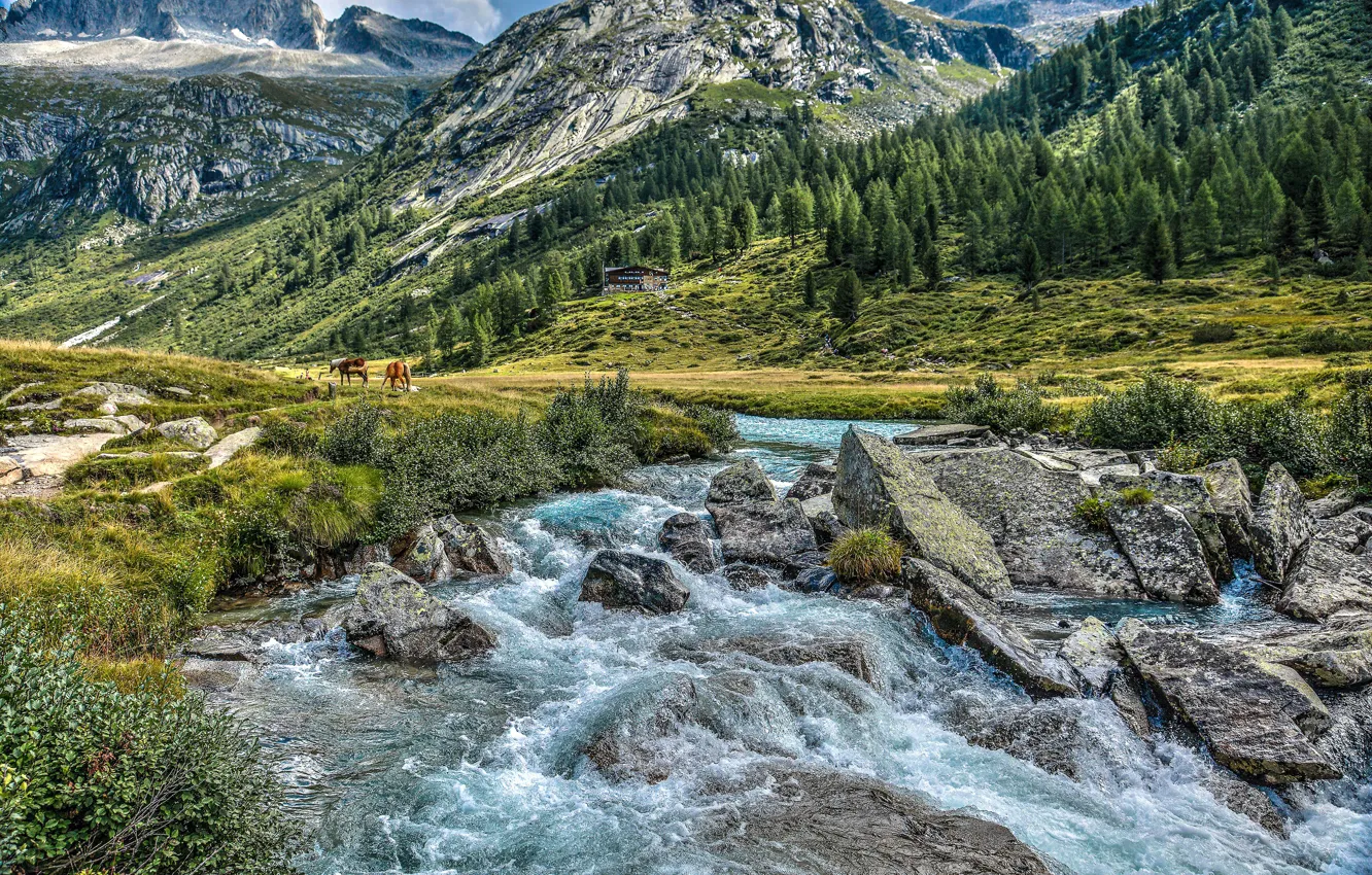 Photo wallpaper mountains, river, stones, valley, Alps, Italy, Italy, Alps