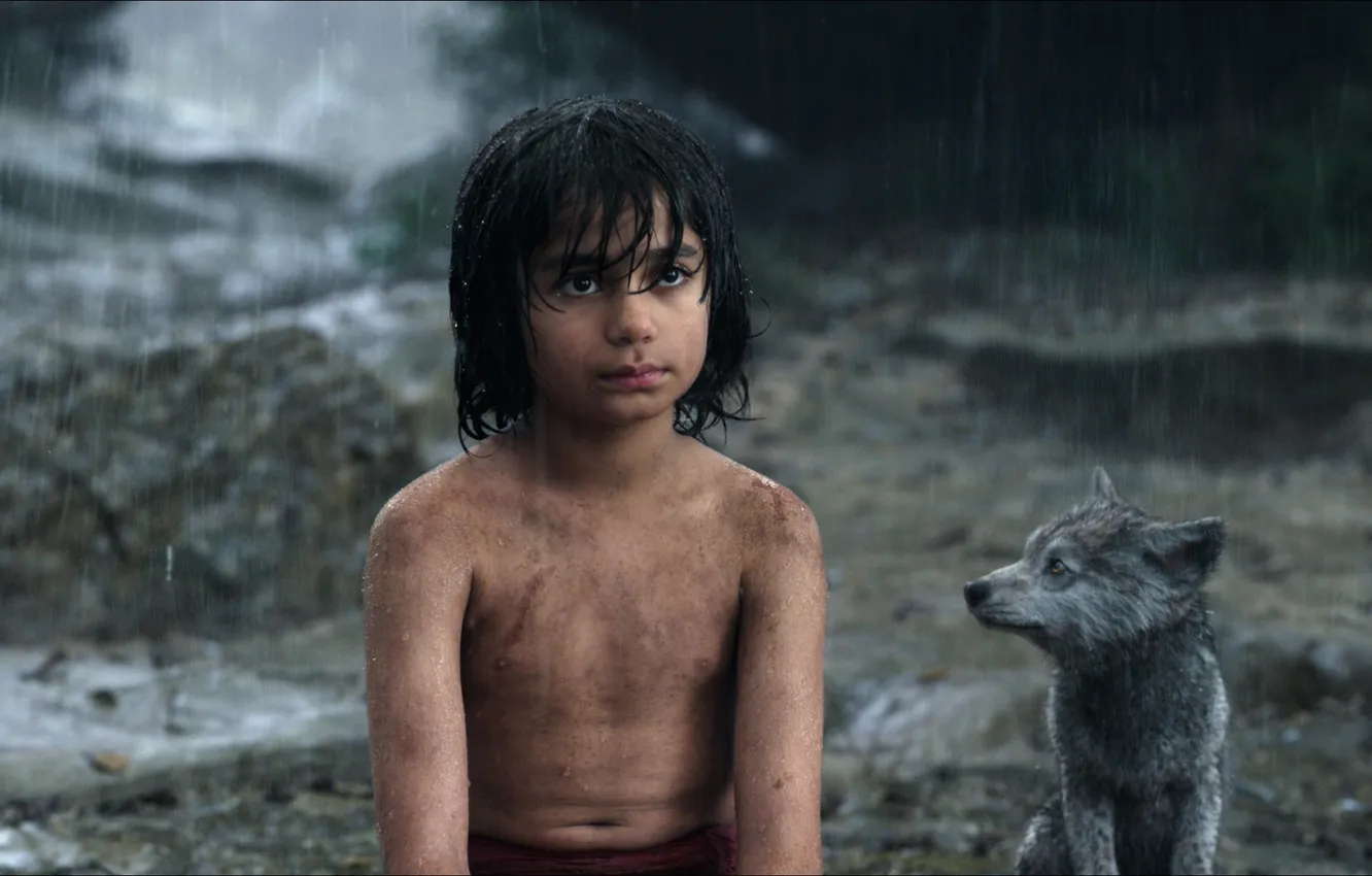 Photo wallpaper boy, the cub, Mowgli, The Jungle Book, The jungle book