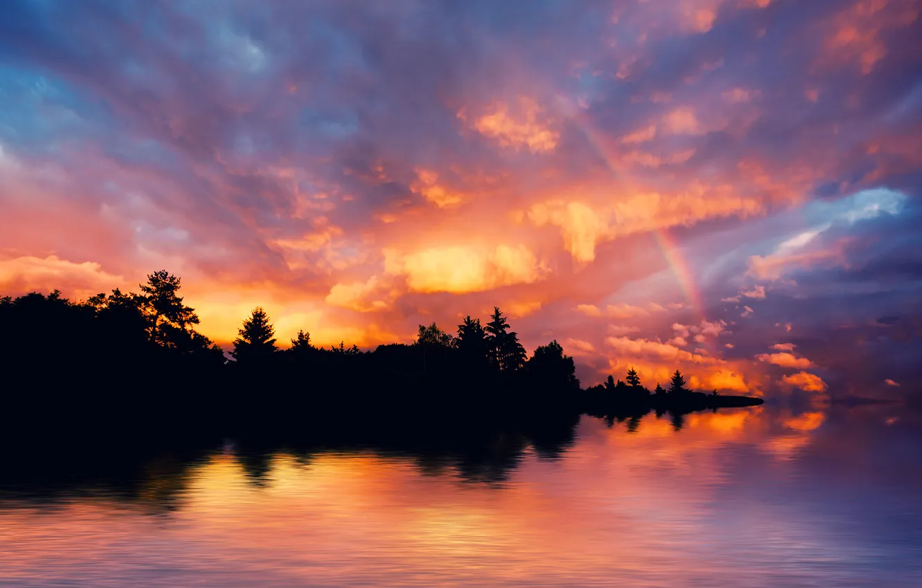 Photo wallpaper the sky, clouds, trees, sunset, surface, reflection, FOREST, SEA