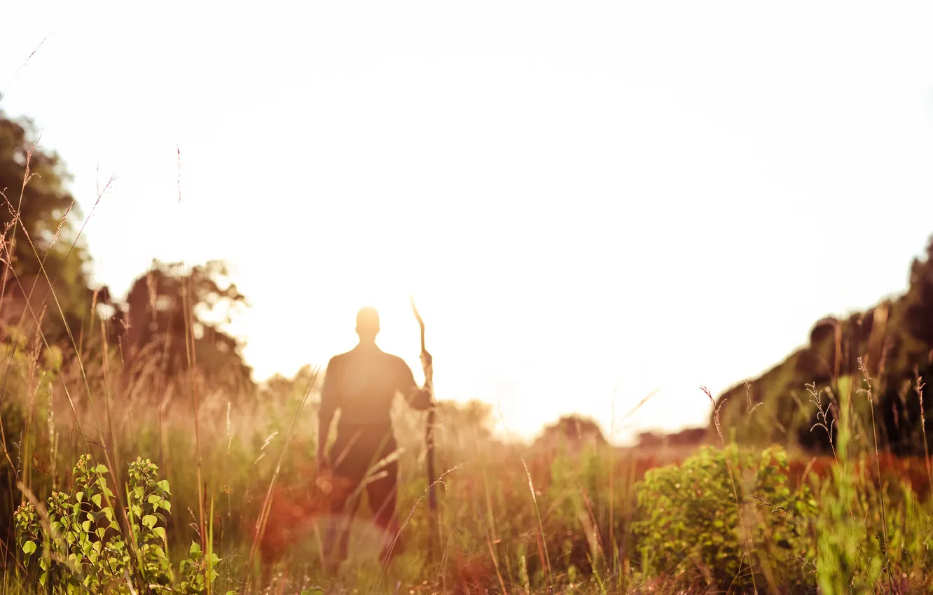 Photo wallpaper summer, grass, leaves, the sun, plant, silhouette, guy