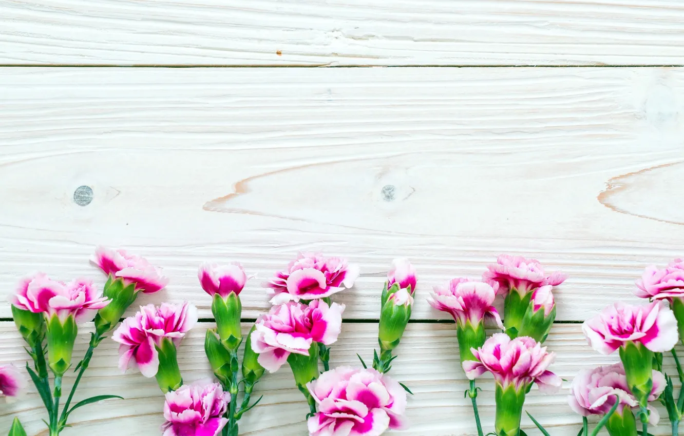 Photo wallpaper flowers, Board, pink, clove