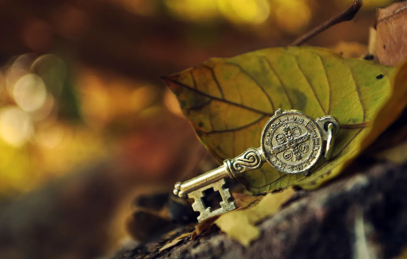Photo wallpaper leaves, macro, metal, green, stones, key