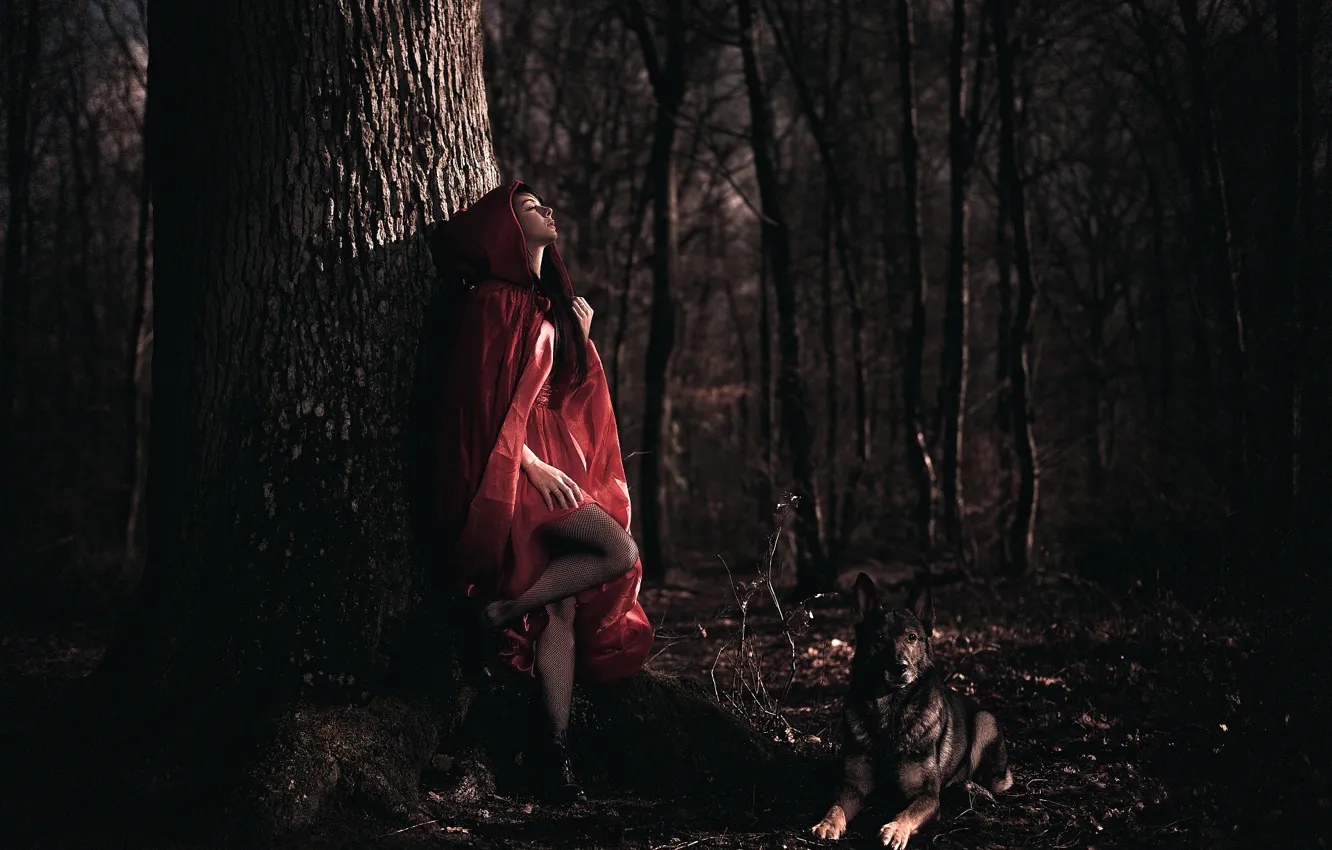 Photo wallpaper forest, girl, dog, cloak, Arya, Laurent KC