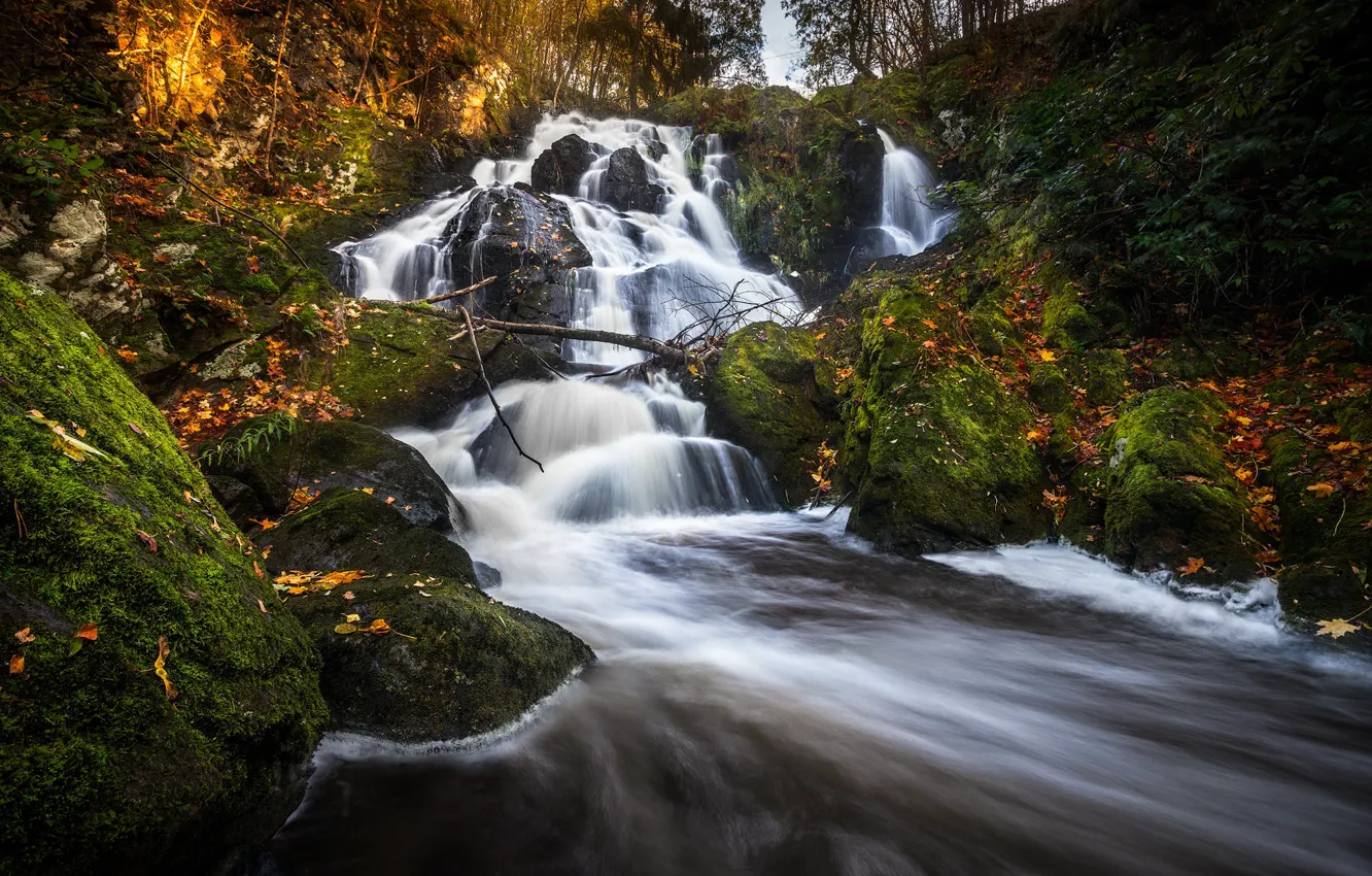Photo wallpaper autumn, forest, waterfall, river, Sweden