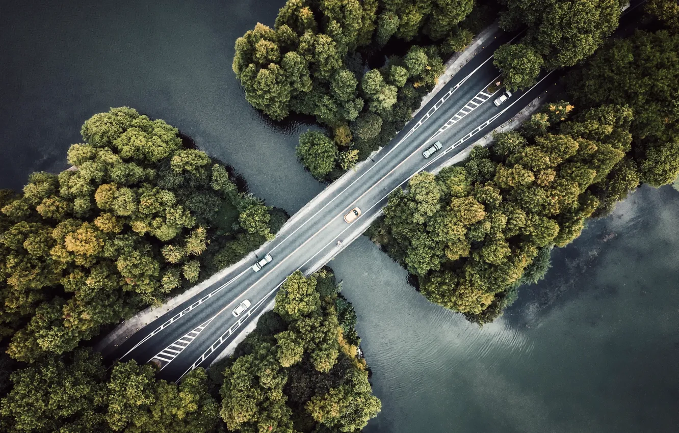 Photo wallpaper forest, water, trees, bridge, river, the view from the top