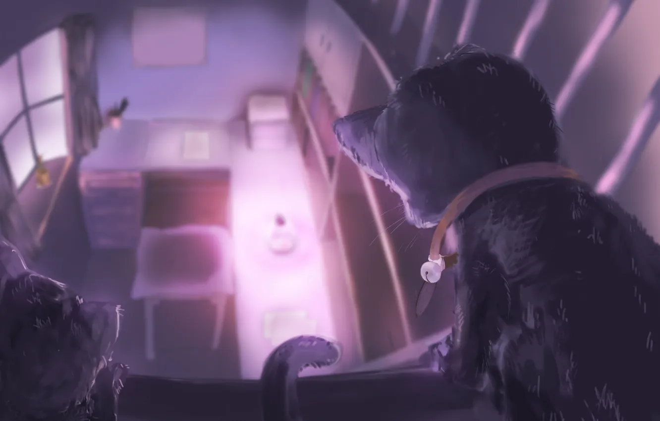 Photo wallpaper room, view, height, art, kittens, Anime, kitten, art