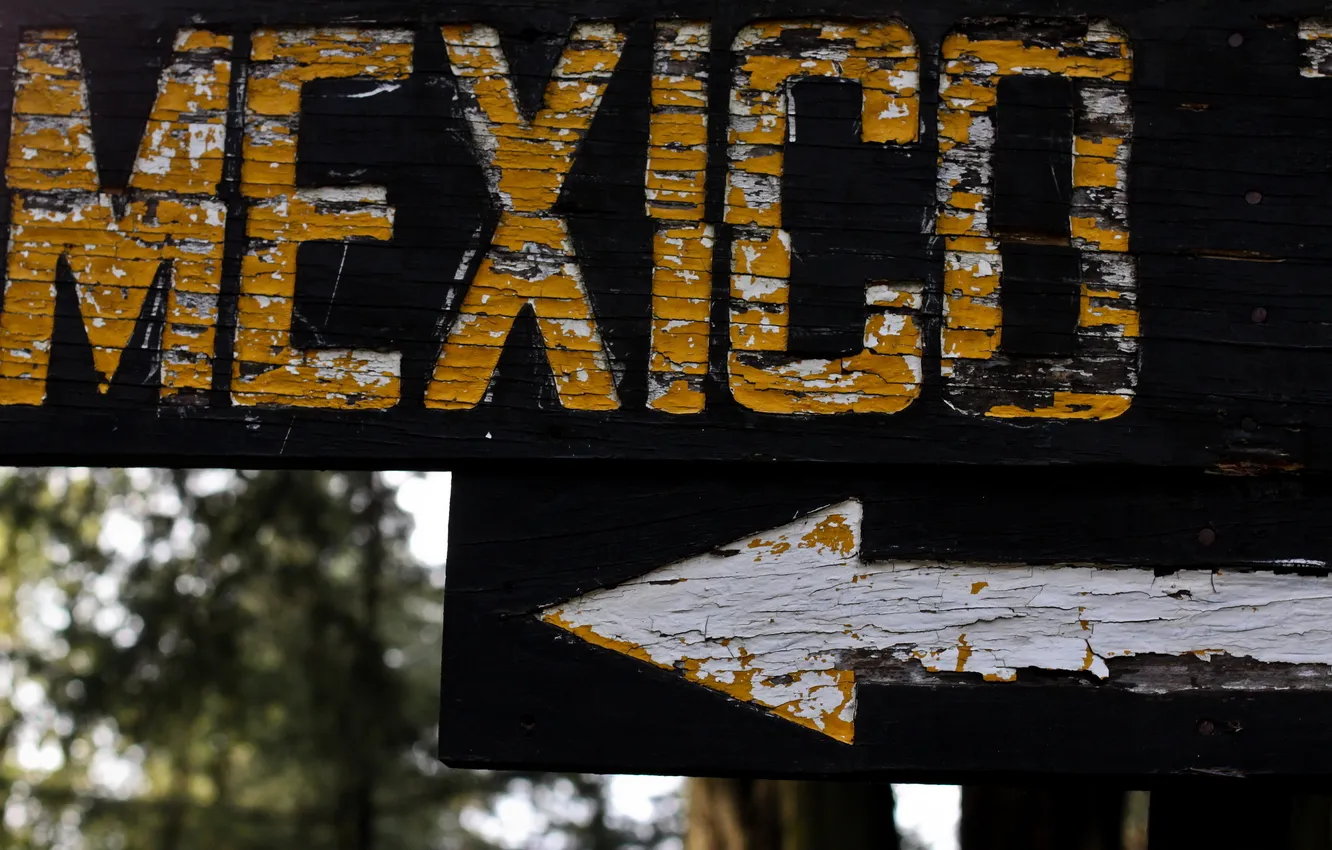 Photo wallpaper macro, sign, index