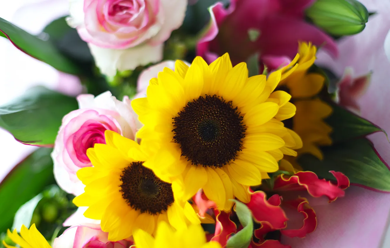 Photo wallpaper leaves, sunflowers, flowers, roses, bouquet, yellow, petals, pink