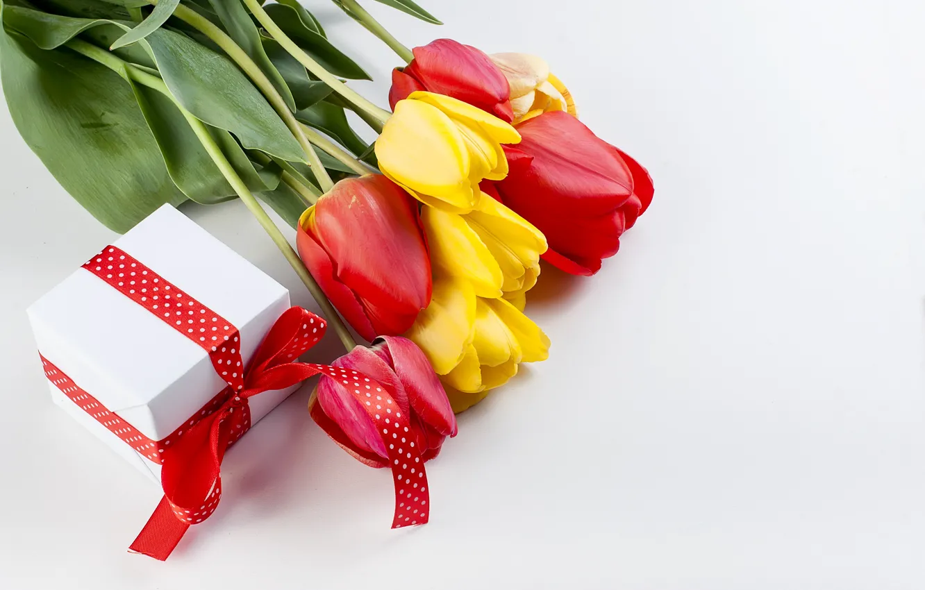 Photo wallpaper holiday, gift, bouquet, tulips, red