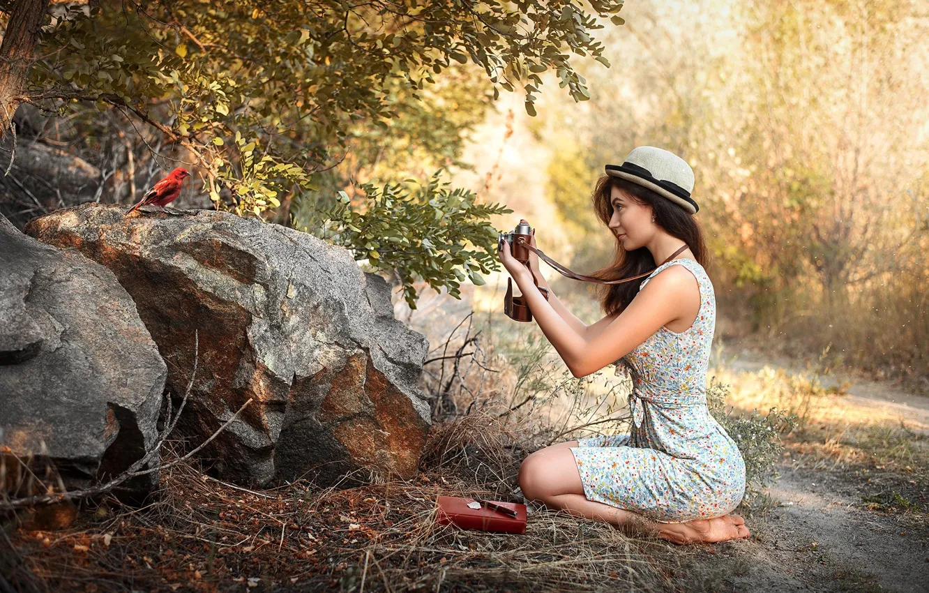 Photo wallpaper girl, nature, bird, Maks Kuzin, young photographer