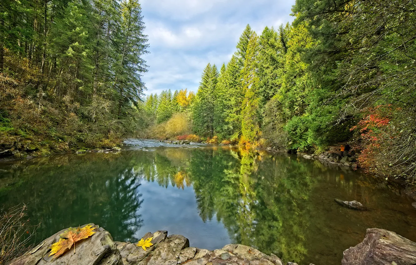 Photo wallpaper autumn, forest, the sky, water, trees, reflection, river, stones