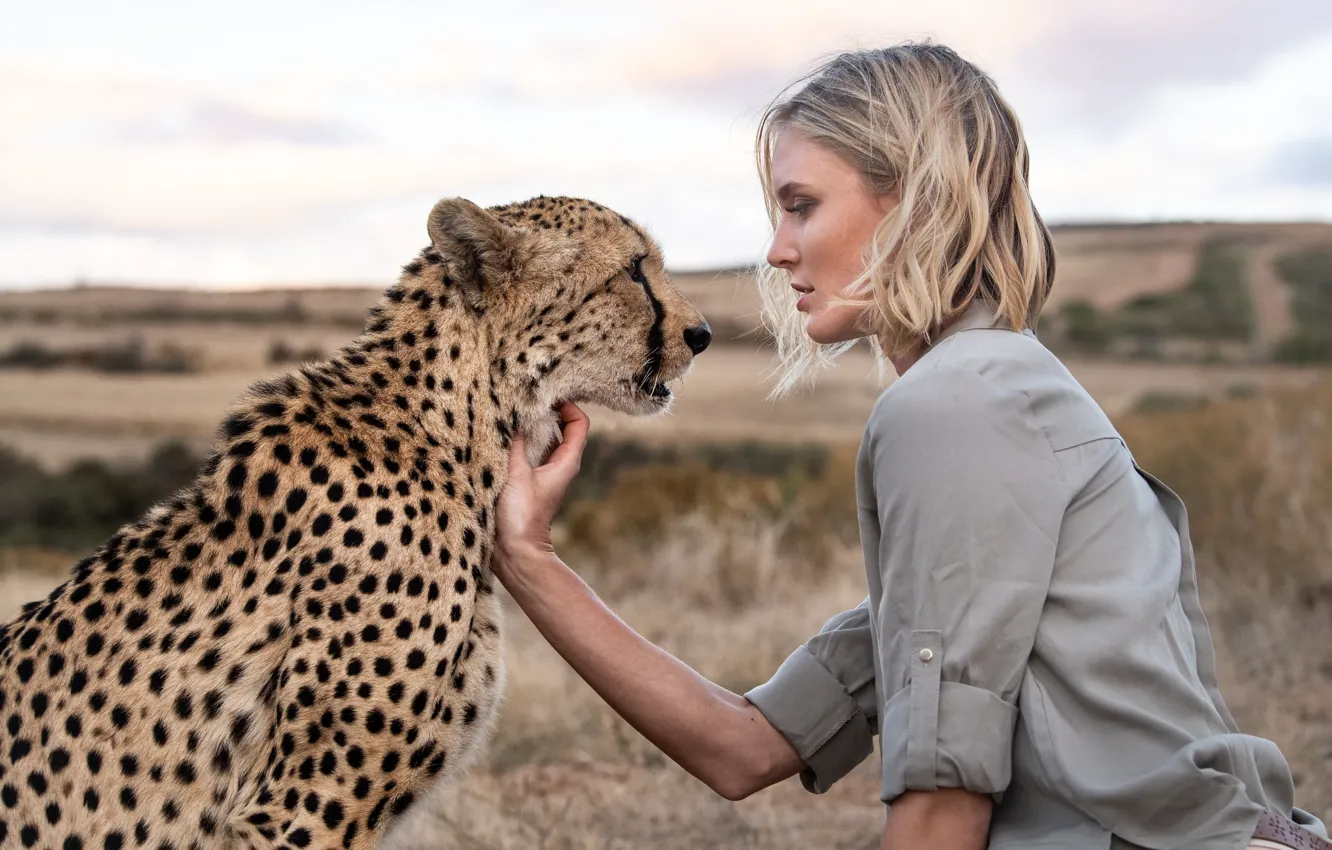 Photo wallpaper girl, meeting, Cheetah