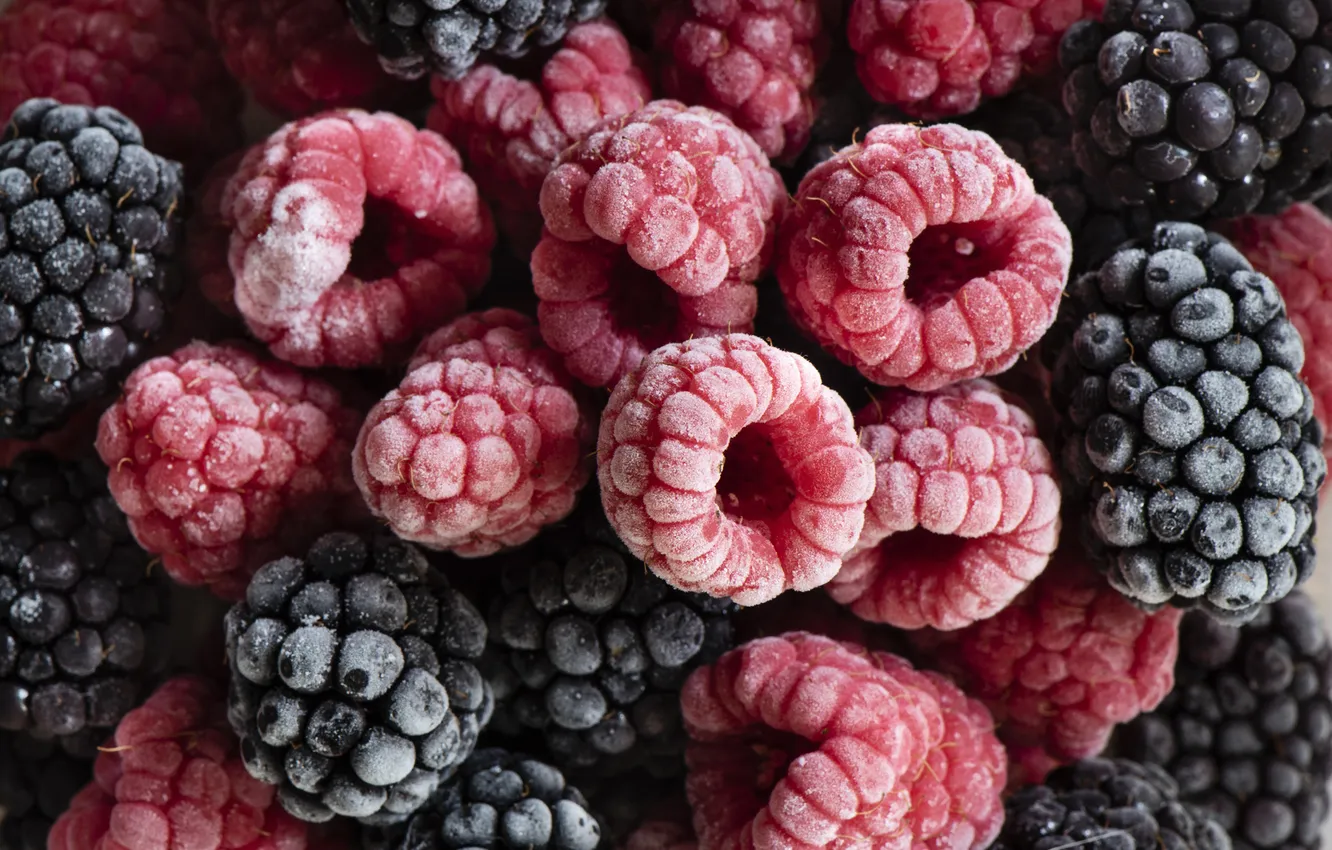 Photo wallpaper frost, macro, berries, raspberry, a lot, BlackBerry, frozen