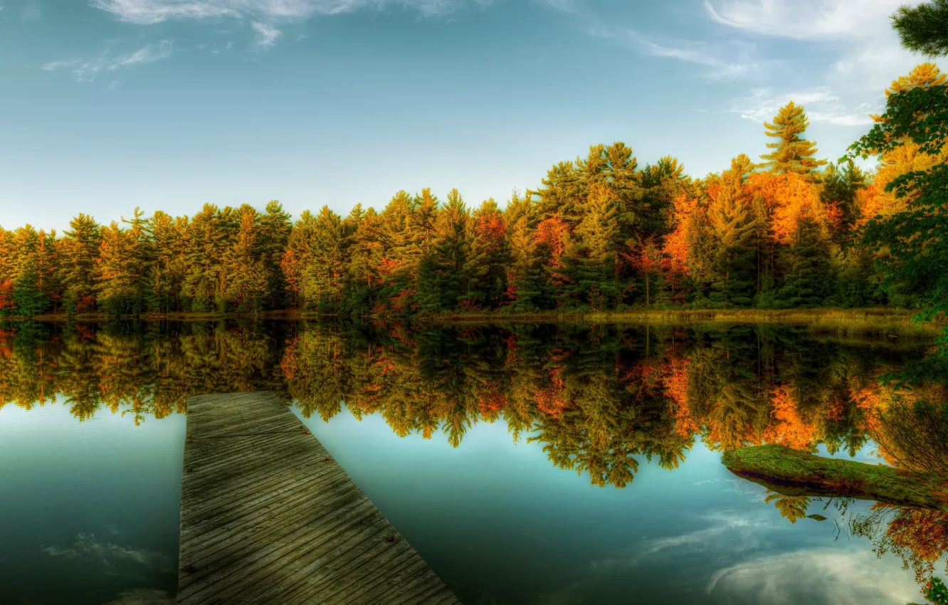 Photo wallpaper autumn, forest, light, bridges, pond