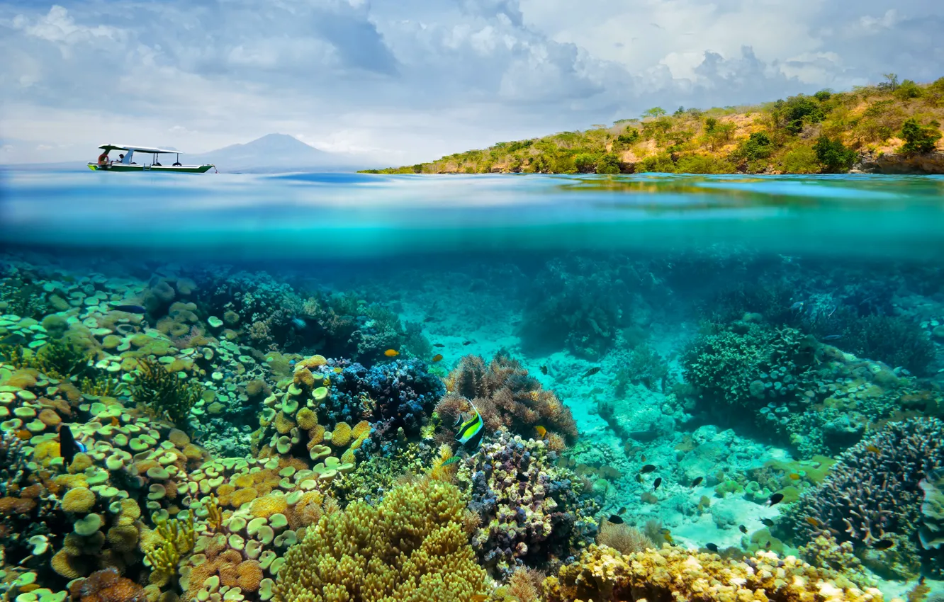 Photo wallpaper sea, boat, fish, corals, the bottom of the sea