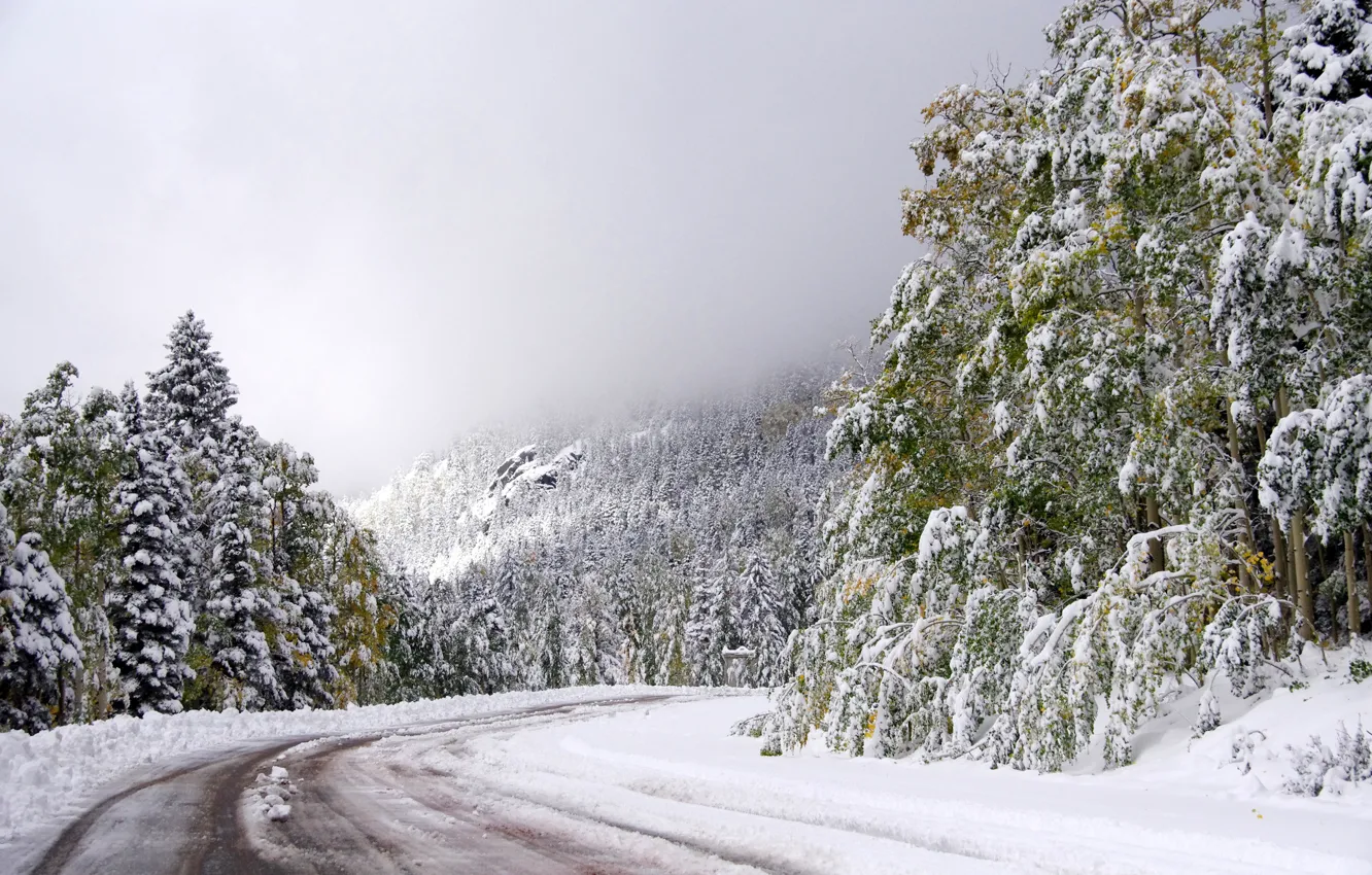Photo wallpaper winter, road, the sky, snow, trees, turn
