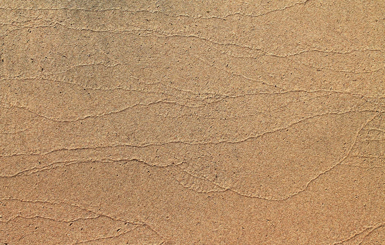 Photo wallpaper sand, sea, traces