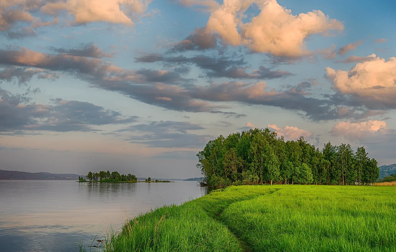 Photo wallpaper greens, summer, the sky, grass, clouds, trees, river, shore