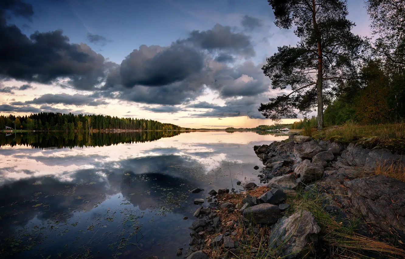 Photo wallpaper forest, clouds, reflection, river, the evening