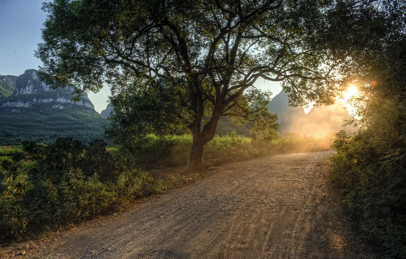 Photo wallpaper road, rays, light, trees, landscape, nature, dust