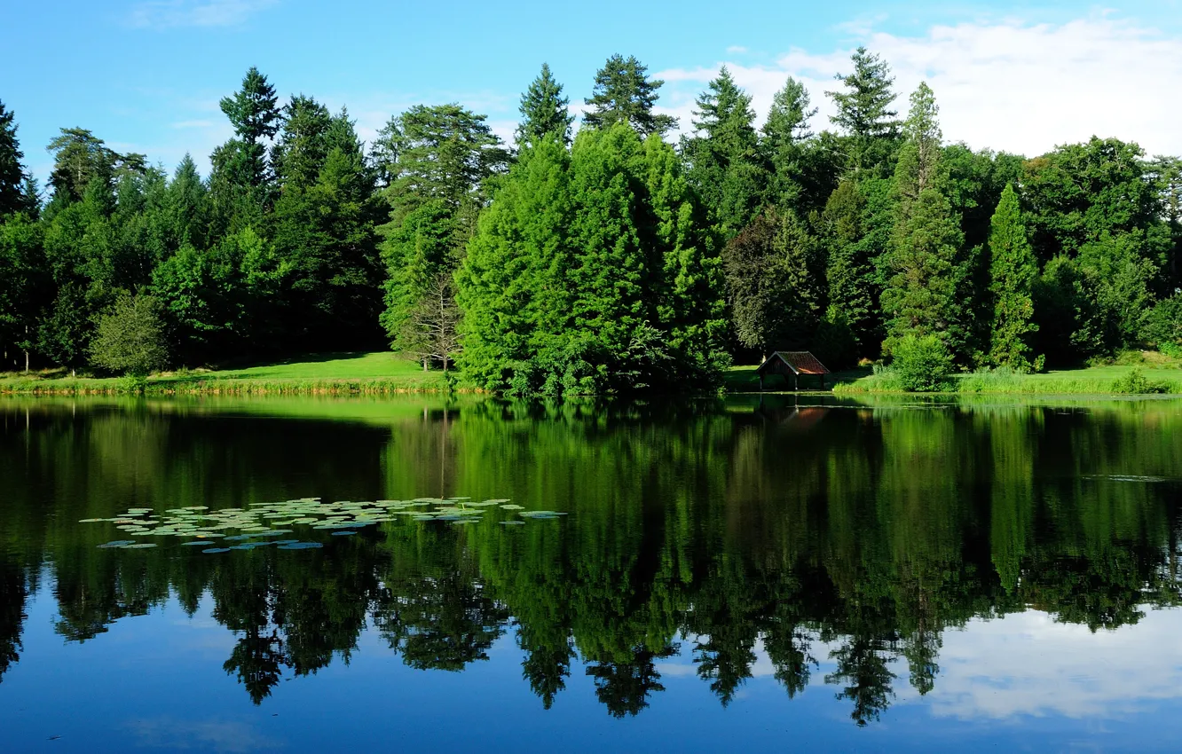 Photo wallpaper greens, water, trees, landscape, nature, lake, reflection, France