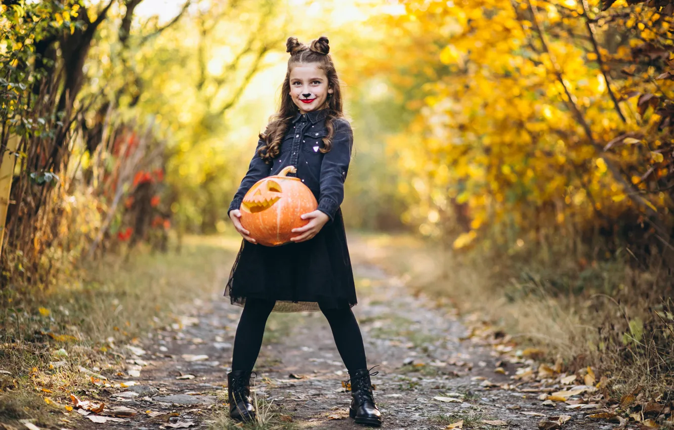 Photo wallpaper road, autumn, look, nature, Park, holiday, the game, makeup