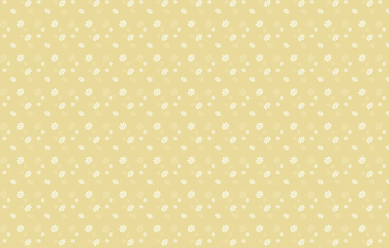 Photo wallpaper white, flowers, yellow, background