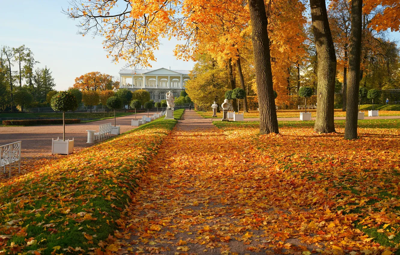 Photo wallpaper the city, Park, foliage, sculpture, architecture, alley, Pushkin, Tsarskoye Selo