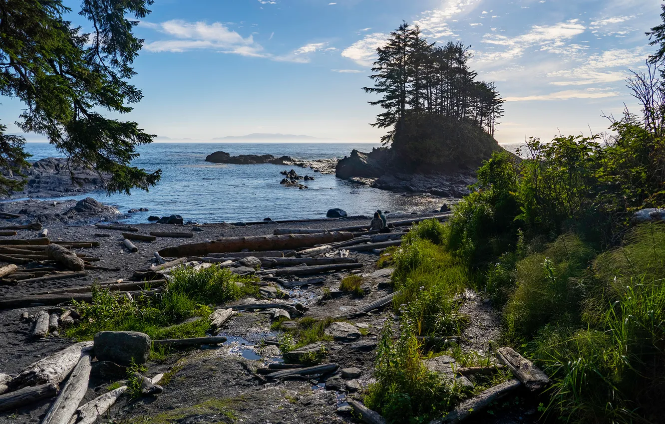 Photo wallpaper Rock, Canada, Coast, Logs, Botanical Beach