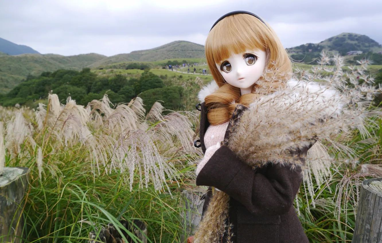 Photo wallpaper nature, toy, doll