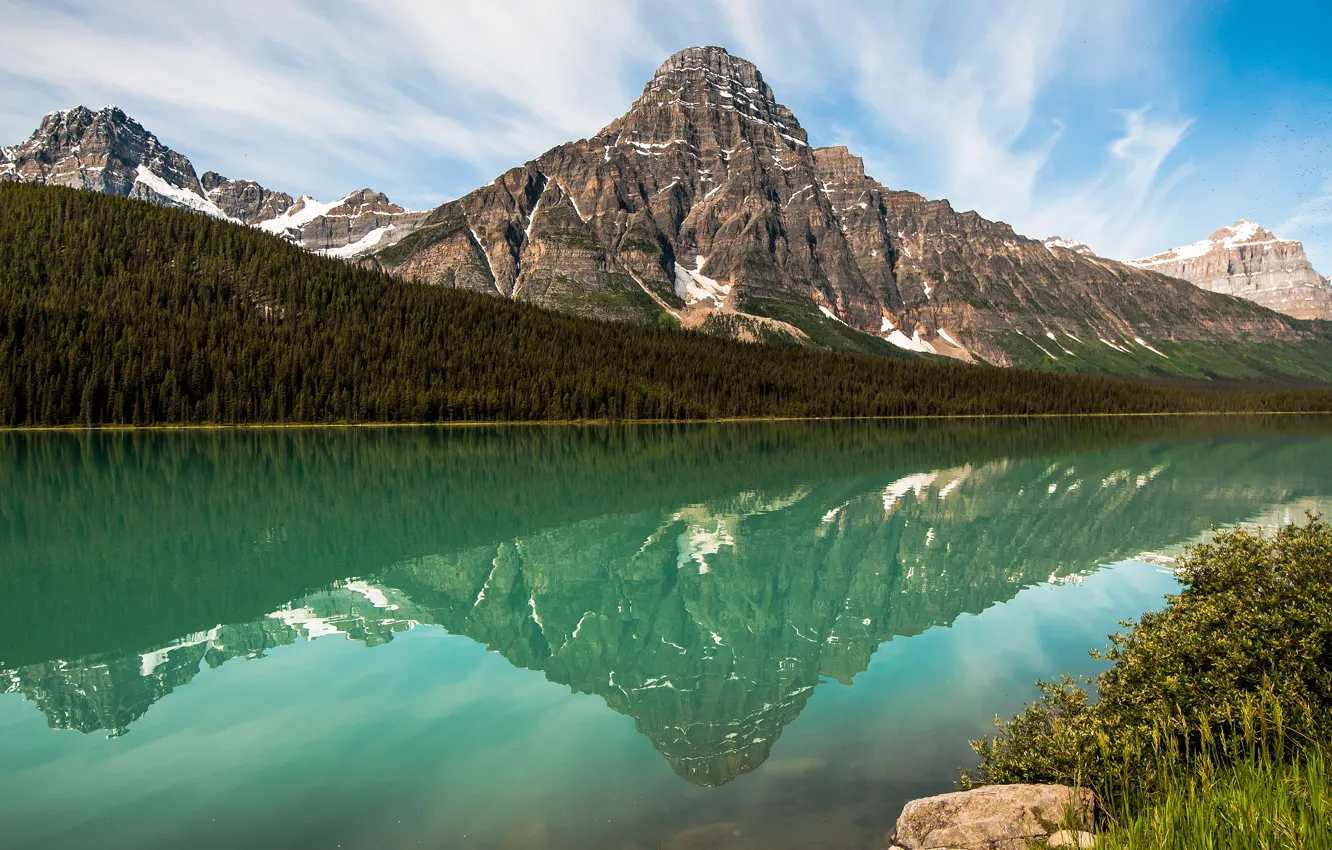Photo wallpaper greens, forest, the sky, clouds, landscape, mountains, nature, green