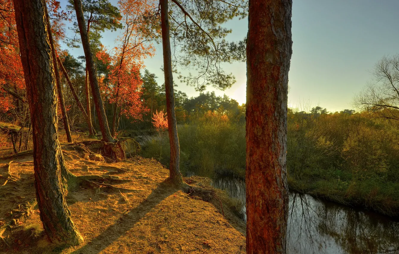 Photo wallpaper autumn, forest, the sky, trees, sunset, river, stream, open