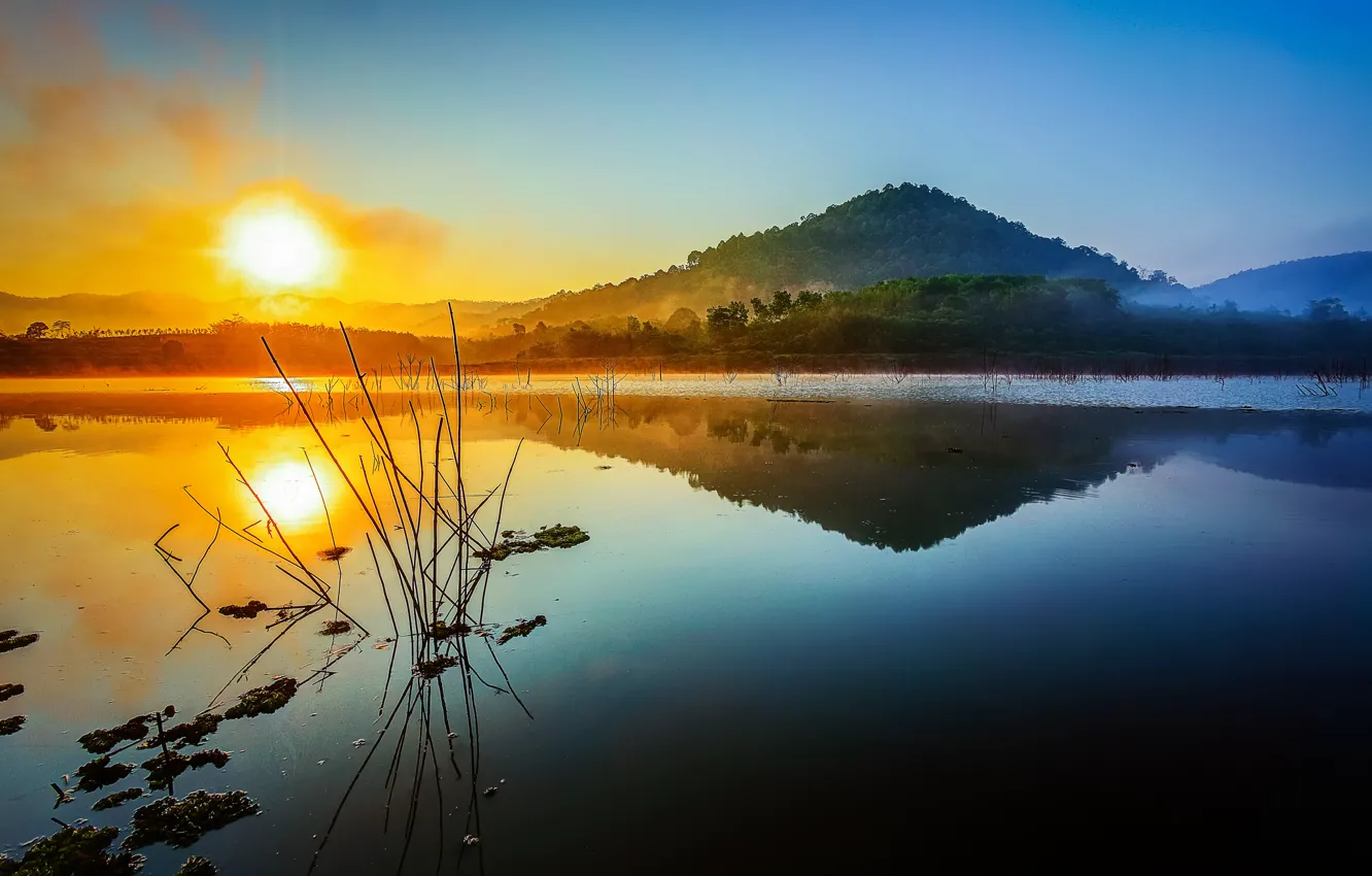 Photo wallpaper the sky, the sun, sunset, mountains, lake, plant